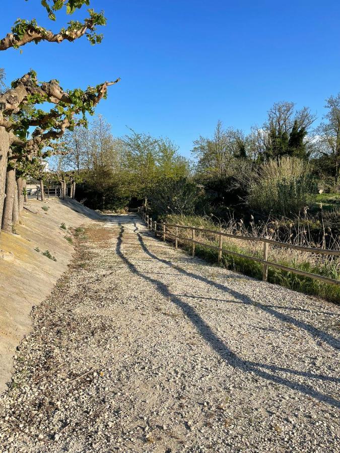 El Rincon De Tono Hotell Pomar  Eksteriør bilde